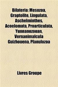 Bilateria: Mesozoa, Graptolite, Lingulata, Aschelminthes, Acoelomata, Proarticulata, Yunnanozooan, Vernanimalcula Guizhouena, Pla