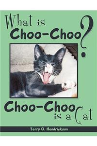What Is Choo-Choo?: Choo Choo Is a Cat