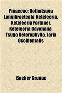 Pinaceae: Abies, Pinus, Pinus Edulis, Abies Forrestii, Abies Durangensis, Abies Vejarii, Abies Fabri, Abies Densa, Abies Beshanz