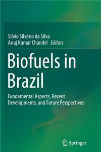 Biofuels in Brazil: Fundamental Aspects, Recent Developments, and Future Perspectives
