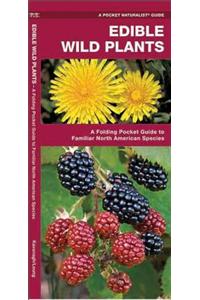 Edible Wild Plants: A Folding Pocket Guide to Familiar North American Species