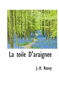 Toile D'Araign E