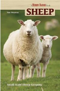 Sheep: Small-Scale Sheep Keeping