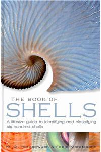 Book of Shells