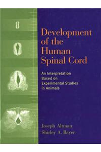 Development of the Human Spinal Cord: An Interpretation Based on Experimental Studies in Animals