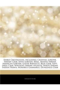 Articles on Edible Crustaceans, Including: Crayfish, Lobster, Shrimp, Crab, Spiny Lobster, Krill, Mantis Shrimp, American Lobster, Goose Barnacle, Blu