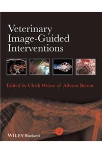 Veterinary Image-Guided Interventions