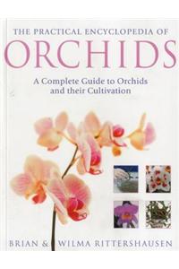 Practical Encyclopedia of Orchids