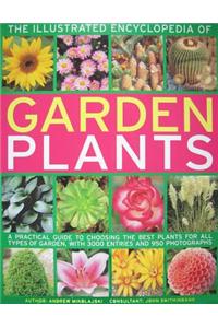 The Illustrated Encylopedia of Garden Plants