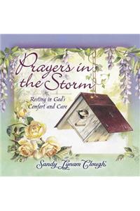 Prayers in the Storm: Resting in God's Comfort and Care