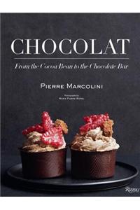 Chocolat: From the Cocoa Bean to the Chocolate Bar
