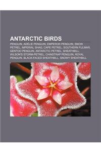 Antarctic Birds: Penguin, Adelie Penguin, Emperor Penguin, Snow Petrel, Imperial Shag, Cape Petrel, Southern Fulmar, Gentoo Penguin