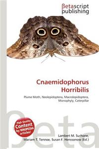 Cnaemidophorus Horribilis
