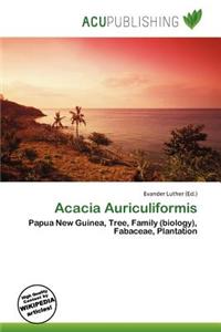 Acacia Auriculiformis