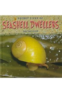 Secret Lives of Seashell Dwellers