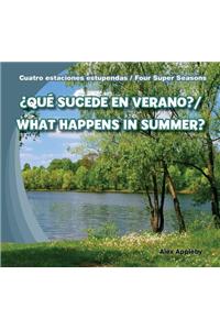 Que Sucede En Verano?/What Happens in Summer?