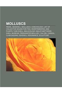 Molluscs: Pearl, Seashell, Mollusca, Conchology, List of Collective Nouns for Fish, Invertebrates, and Plants, Tusk Shell, Malac