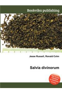 Salvia Divinorum