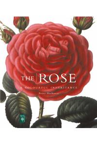 Rose: A Colourful Inheritance