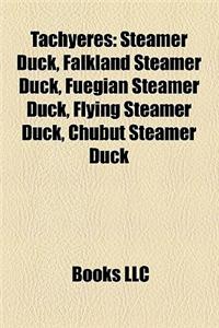 Tachyeres: Steamer Duck, Falkland Steamer Duck, Fuegian Steamer Duck, Flying Steamer Duck, Chubut Steamer Duck