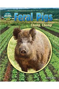 Feral Pigs: Chomp, Chomp!
