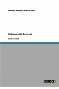Risiken Des M-Business