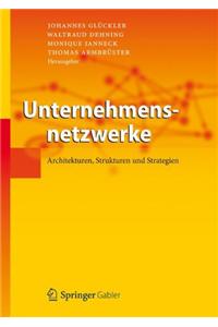 Unternehmensnetzwerke: Architekturen, Strukturen Und Strategien