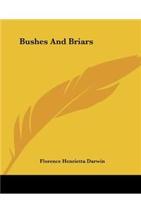 Bushes and Briars