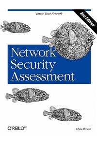 Network Security Assessment