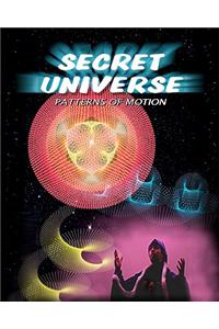 Secret Universe: Patterns of Motion