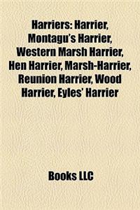 Harriers: Harrier, Montagu's Harrier, Western Marsh Harrier, Hen Harrier, Marsh-Harrier, Runion Harrier, Wood Harrier, Eyles' Ha
