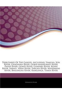 Articles on Tributaries of the Ganges, Including: Yamuna, Son River, Ghaghara River, Gorai-Madhumati River, Pasur River, Gomti River, Gandaki River, K
