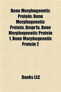 Bone Morphogenetic Protein: Bmpr1a, Bone Morphogenetic Protein 1, Bone Morphogenetic Protein 2, Bone Morphogenetic Protein 4