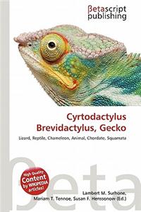 Cyrtodactylus Brevidactylus, Gecko