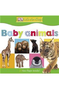 Baby Animals