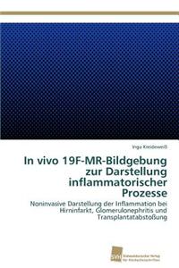 In Vivo 19f-MR-Bildgebung Zur Darstellung Inflammatorischer Prozesse