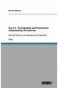 Sex 2.0 - Pornography and Prostitution Influenced by the Internet