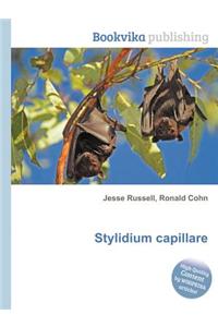 Stylidium Capillare