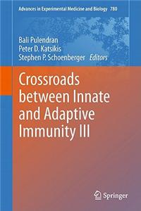 Crossroads Between Innate and Adaptive Immunity