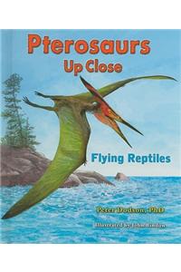 Pterosaurs Up Close: Flying Reptiles