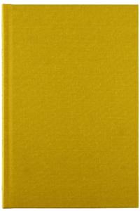 Male Peer Support and Violence Against Women