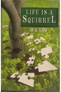 Life Is A Squirrel