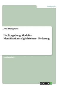 Hochbegabung: Modelle - Identifikationsmoglichkeiten - Forderung