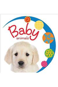 Baby Loves Baby Animals