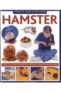 How to Look After Your Hamster: A Practical Guide to Caring for Your Pet, in Step-By-Step Photographs
