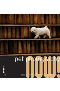 Pet Photography Now!