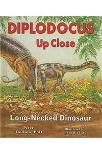 Diplodocus Up Close: Long-Necked Dinosaur