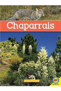 Chaparrals