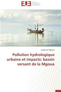 Pollution Hydrologique Urbaine Et Impacts: Bassin Versant de La Mgoua