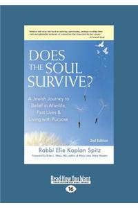 Does the Soul Survive?: A Jewish Journey to Belief in Afterlife, Past Lives & Living with Purpose - 2nd Edition (Large Print 16pt)